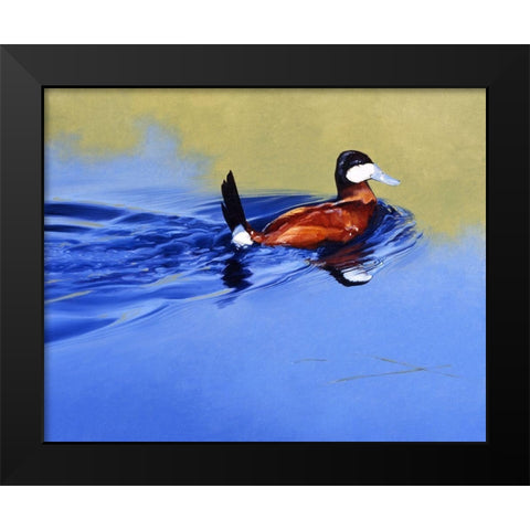 Ruddy and Blue Black Modern Wood Framed Art Print by Chapman, Julie T.