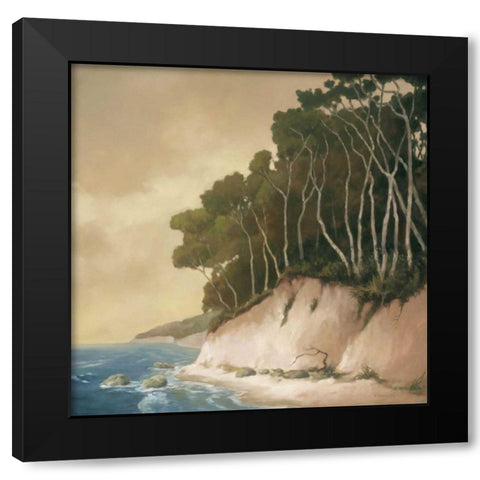 High Tide I Black Modern Wood Framed Art Print with Double Matting by Reynolds, Graham