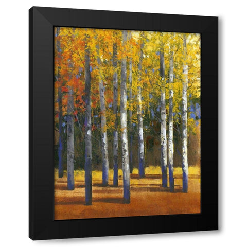 Fall in Glory I Black Modern Wood Framed Art Print with Double Matting by OToole, Tim