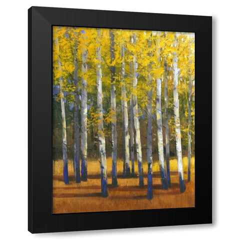 Fall in Glory II Black Modern Wood Framed Art Print with Double Matting by OToole, Tim