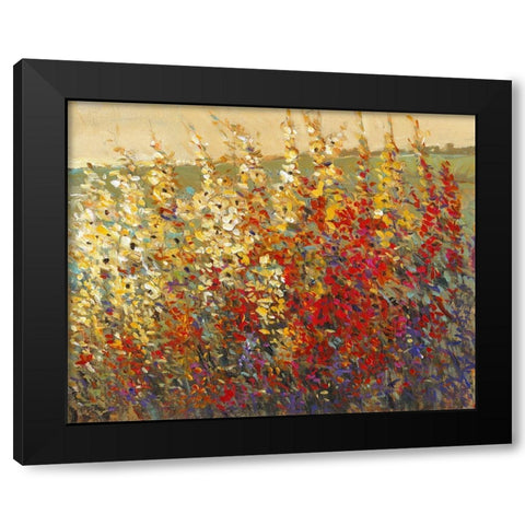 Field of Spring Flowers I Black Modern Wood Framed Art Print with Double Matting by OToole, Tim