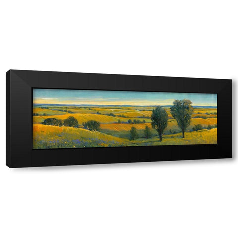 Picturesque Scene II Black Modern Wood Framed Art Print with Double Matting by OToole, Tim