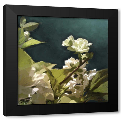White Roses II Black Modern Wood Framed Art Print with Double Matting by Novak, Rick