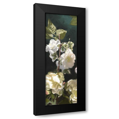 White Roses IV Black Modern Wood Framed Art Print with Double Matting by Novak, Rick
