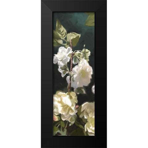White Roses IV Black Modern Wood Framed Art Print by Novak, Rick