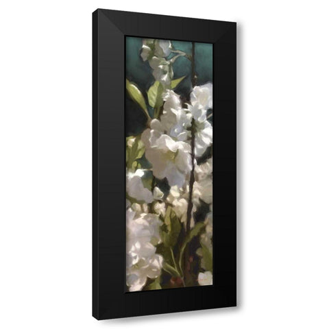 White Roses V Black Modern Wood Framed Art Print by Novak, Rick