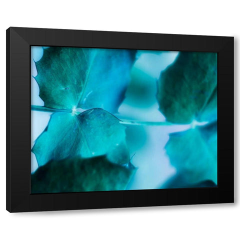 Intricacies I Black Modern Wood Framed Art Print with Double Matting by Teton Parchment