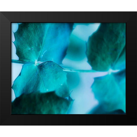 Intricacies I Black Modern Wood Framed Art Print by Teton Parchment