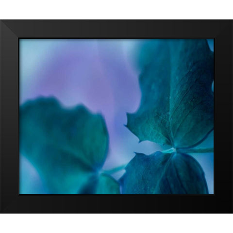 Intricacies II Black Modern Wood Framed Art Print by Teton Parchment