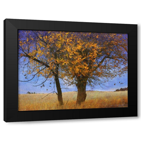 Yellow Elm Black Modern Wood Framed Art Print by Vest, Chris