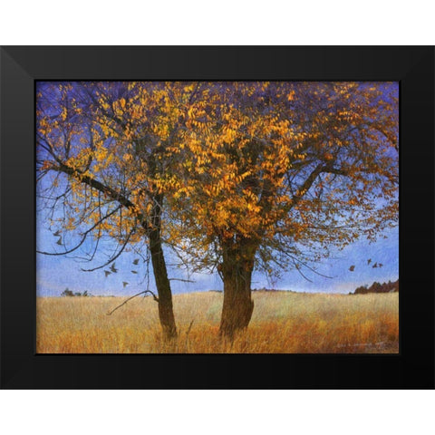 Yellow Elm Black Modern Wood Framed Art Print by Vest, Chris