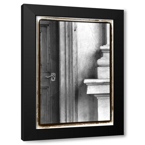 Enduring Qualities II Black Modern Wood Framed Art Print by DeNardo, Laura