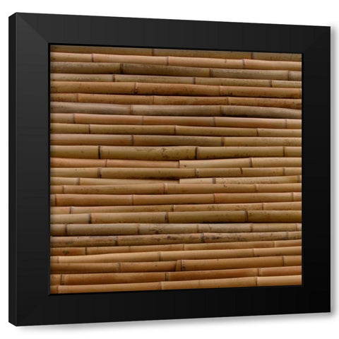 Natures Textures IV Black Modern Wood Framed Art Print with Double Matting by Vision Studio