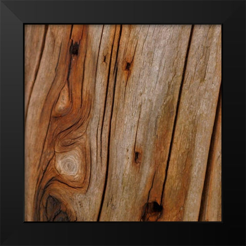 Natures Textures IX Black Modern Wood Framed Art Print by Vision Studio