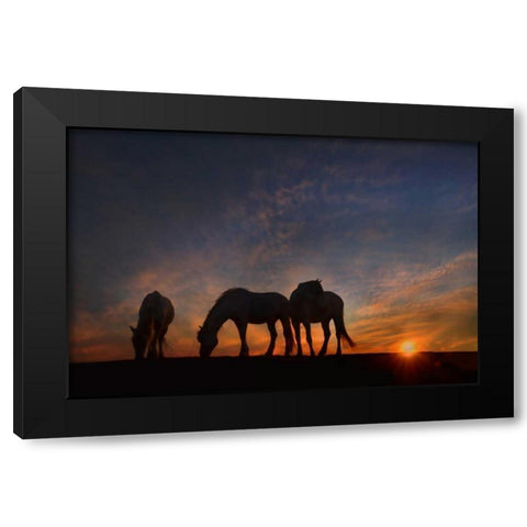 Camargue Sunrise Black Modern Wood Framed Art Print with Double Matting by PHBurchett