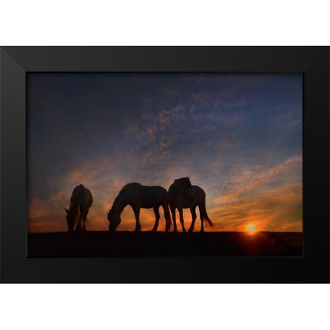 Camargue Sunrise Black Modern Wood Framed Art Print by PHBurchett