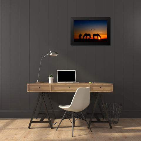 Fly Over Black Modern Wood Framed Art Print by PHBurchett