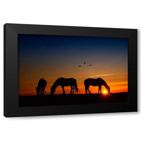Fly Over Black Modern Wood Framed Art Print by PHBurchett