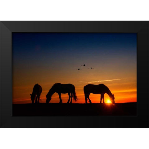 Fly Over Black Modern Wood Framed Art Print by PHBurchett
