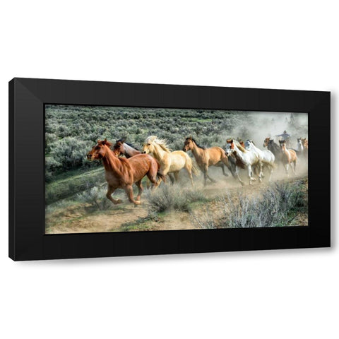 Stampede I Black Modern Wood Framed Art Print by PHBurchett