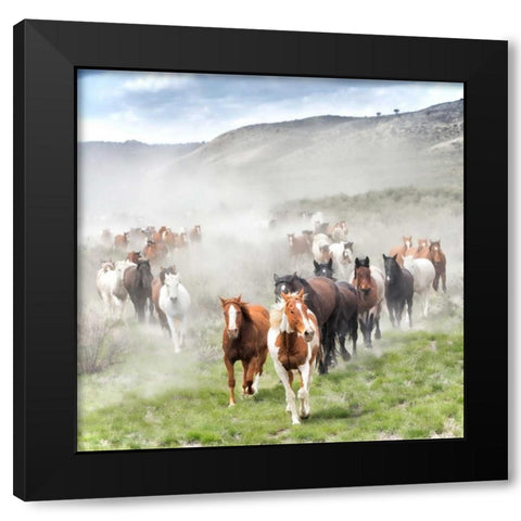 Stampede II Black Modern Wood Framed Art Print with Double Matting by PHBurchett