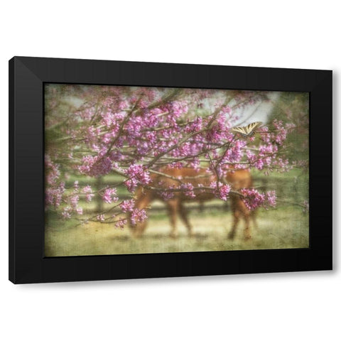 Spring has Sprung Black Modern Wood Framed Art Print with Double Matting by PHBurchett