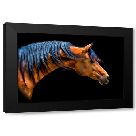 Wind Swept Black Modern Wood Framed Art Print with Double Matting by PHBurchett