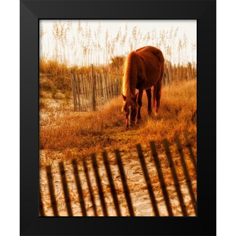 Solitary Light Black Modern Wood Framed Art Print by PHBurchett