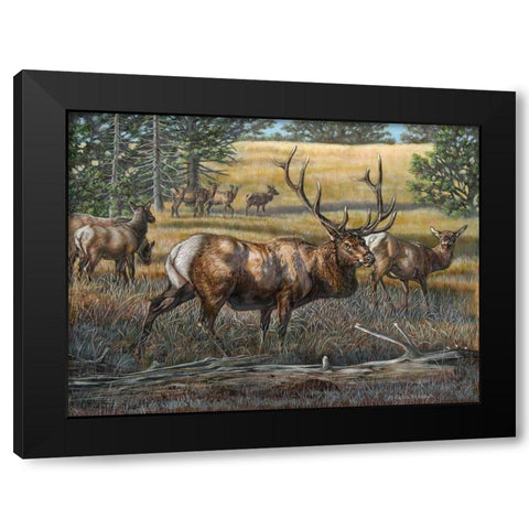 His Majesty Black Modern Wood Framed Art Print with Double Matting by Mock, Carolyn