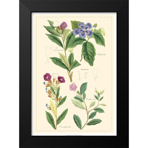 Dietrich Botanical I Black Modern Wood Framed Art Print by Dietrich