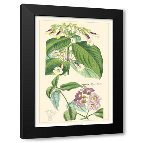 Dietrich Botanical II Black Modern Wood Framed Art Print by Dietrich