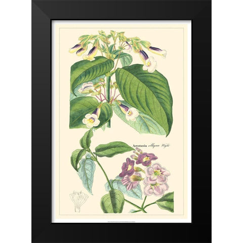 Dietrich Botanical II Black Modern Wood Framed Art Print by Dietrich