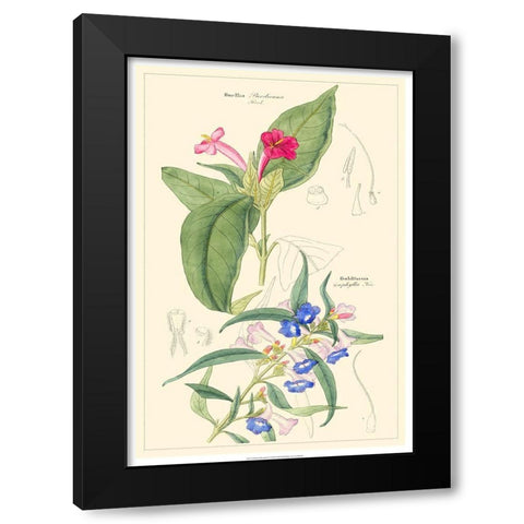 Dietrich Botanical IV Black Modern Wood Framed Art Print by Dietrich