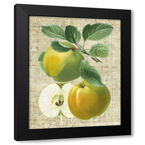 Orchard Medley I Black Modern Wood Framed Art Print with Double Matting by Vision Studio