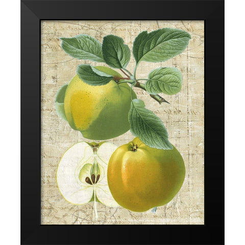 Orchard Medley I Black Modern Wood Framed Art Print by Vision Studio