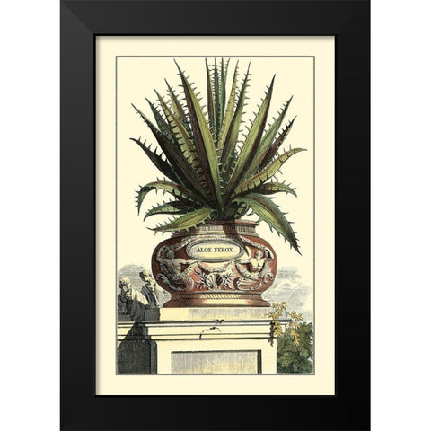 Antique Munting Aloe I Black Modern Wood Framed Art Print by Munting, Abraham