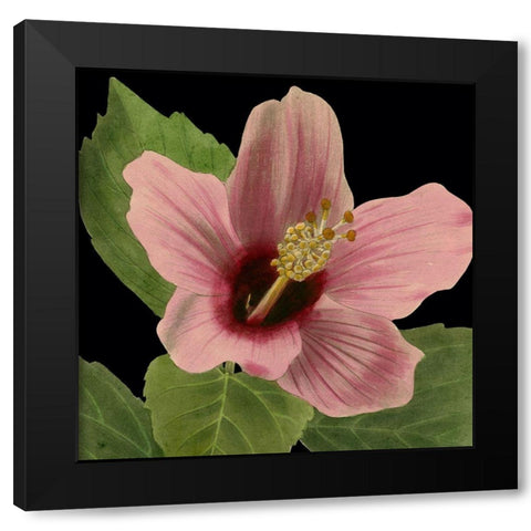 Dramatic Tropical Vision II Black Modern Wood Framed Art Print by Vision Studio
