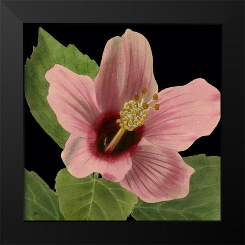 Dramatic Tropical Vision II Black Modern Wood Framed Art Print by Vision Studio