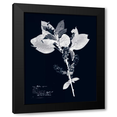 Impressions on Indigo I Black Modern Wood Framed Art Print by Vision Studio