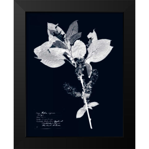 Impressions on Indigo I Black Modern Wood Framed Art Print by Vision Studio