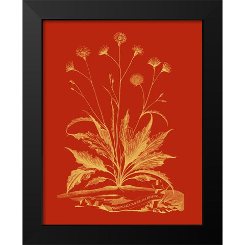 Paprika Bouquet III Black Modern Wood Framed Art Print by Vision Studio