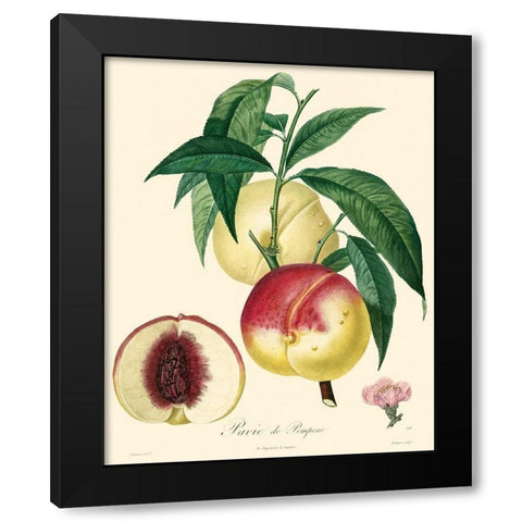 Bessa Peaches Black Modern Wood Framed Art Print by Bessa