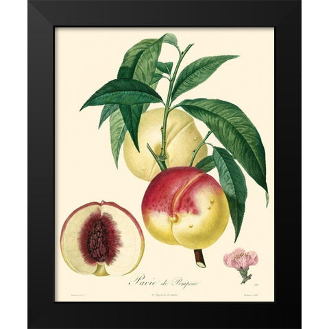 Bessa Peaches Black Modern Wood Framed Art Print by Bessa