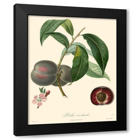 Bessa Plums Black Modern Wood Framed Art Print by Bessa