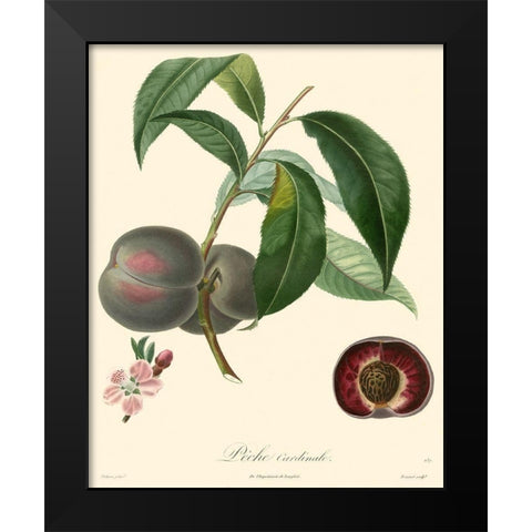 Bessa Plums Black Modern Wood Framed Art Print by Bessa