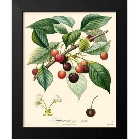 Bessa Cherries Black Modern Wood Framed Art Print by Bessa