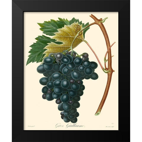 Bessa Grapes II Black Modern Wood Framed Art Print by Bessa