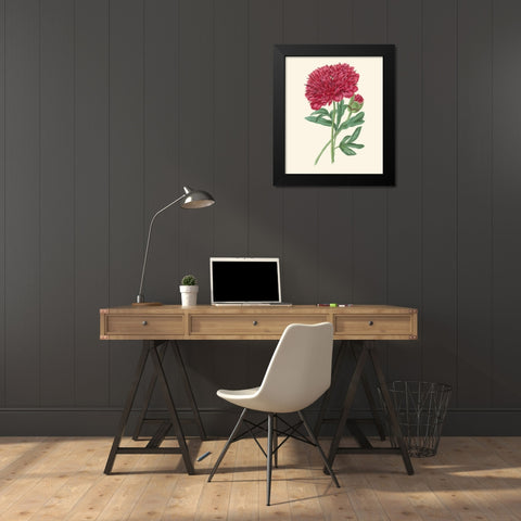 Summer Blush II Black Modern Wood Framed Art Print by Smith, E. D.