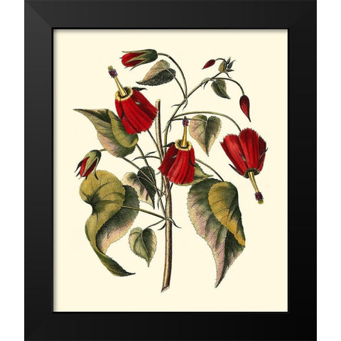 Jennas Flowers I Black Modern Wood Framed Art Print by Sellier