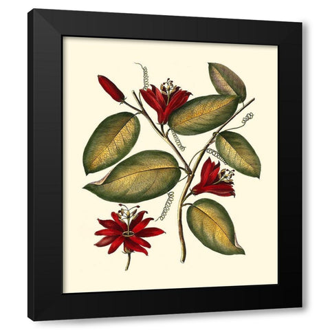 Jennas Flowers III Black Modern Wood Framed Art Print with Double Matting by Sellier
